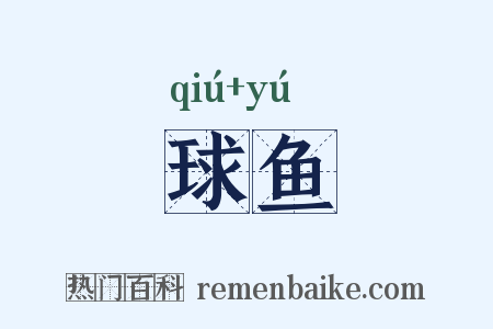 球鱼是什么意思的图片